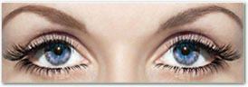 Texas Eyelash Extention Specialist Continuing Education Course for license renewal