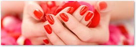 Illinois Nail Technician Cosmetology Continuing Education license renewal course